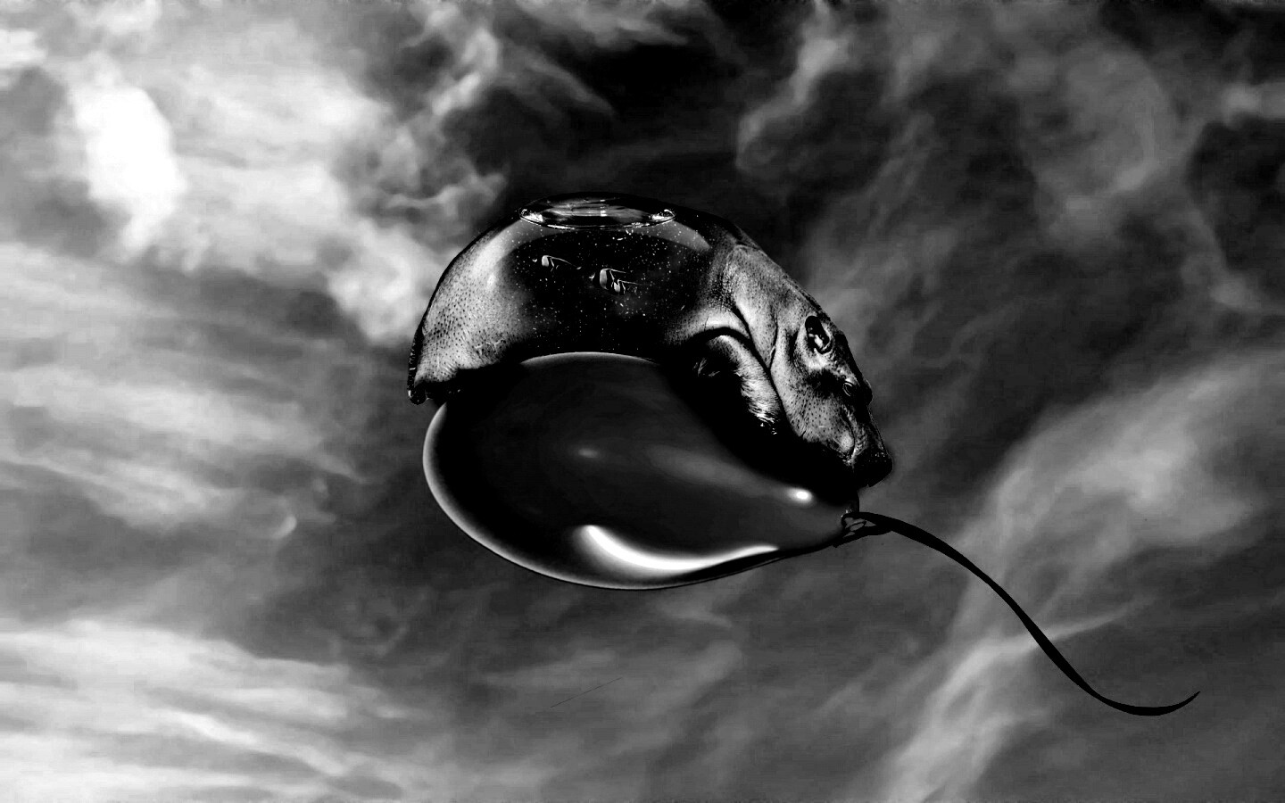 Водяной гиппопотам на шарике обои