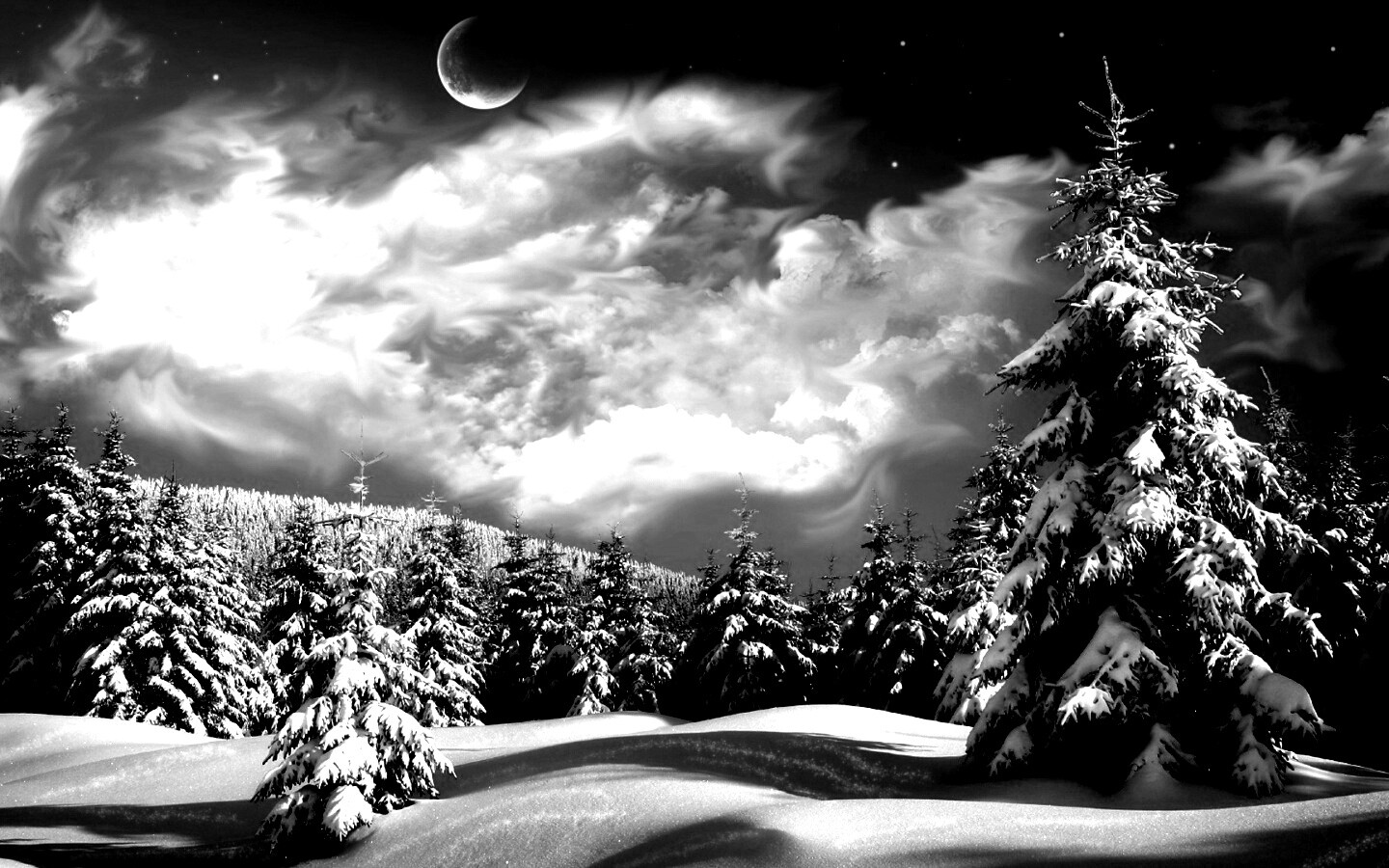 Зимний еловый лес обои