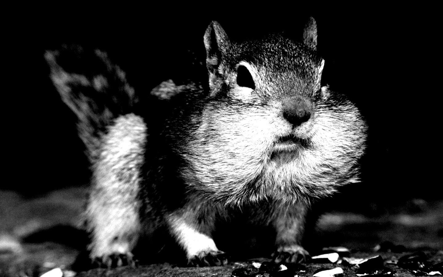 Не жадный, а бережливый обои