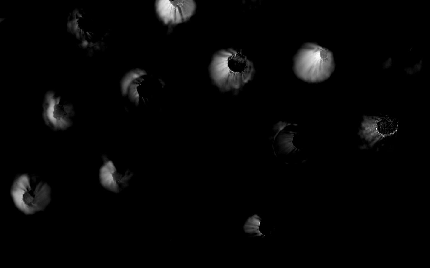 Карандаши обои