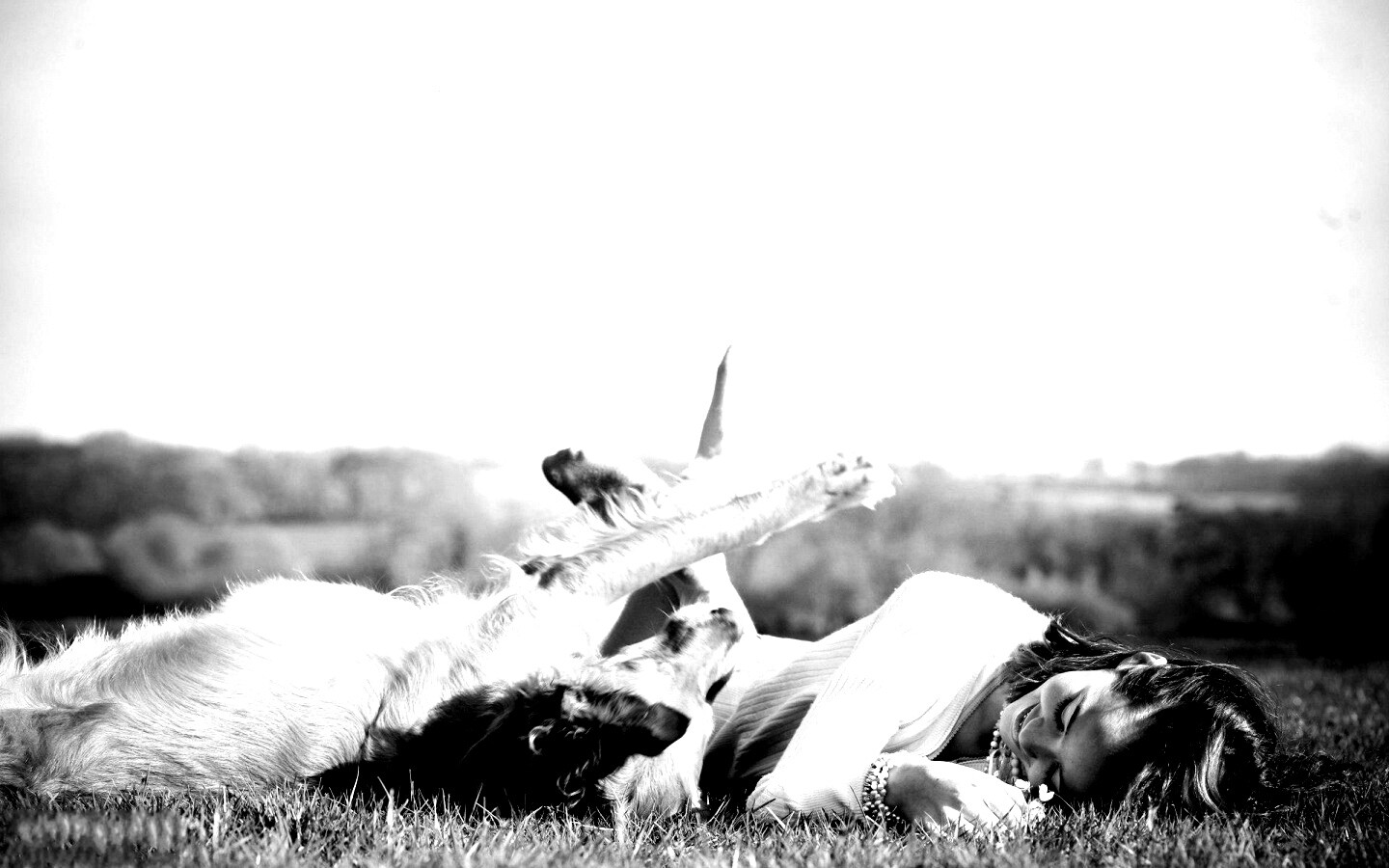 Девушка и собака валяются на траве обои