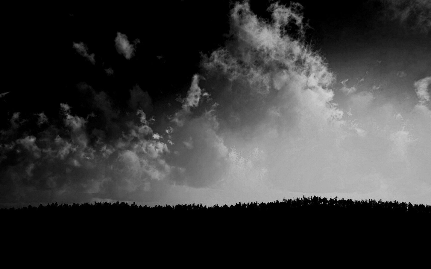 Закат над лесом обои