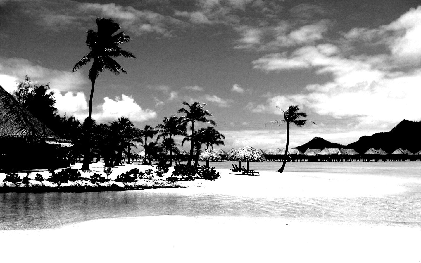Побережье Бора-бора обои