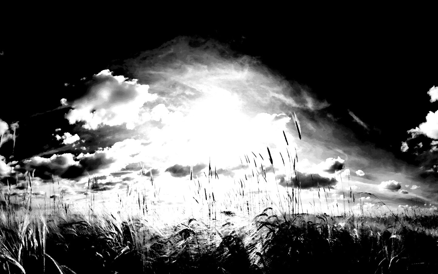 Сюрреалистичная трава обои