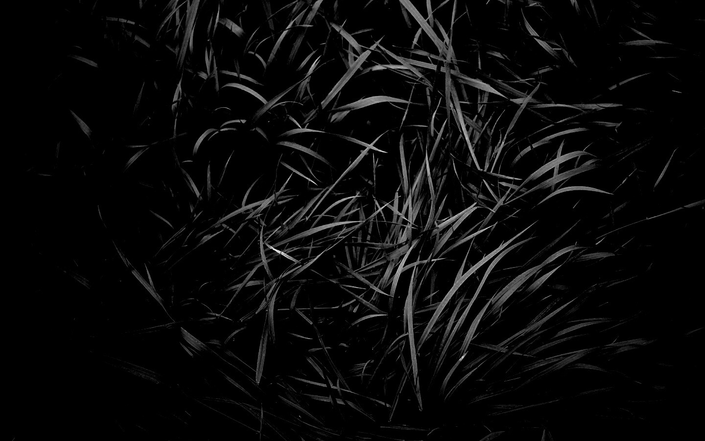 Блеклая трава обои