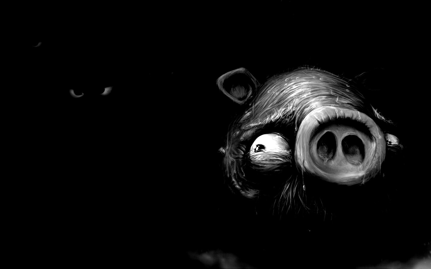 Свинья из Angry Birds обои