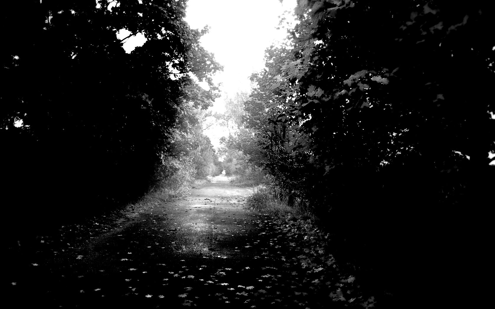 Желтая дорога обои