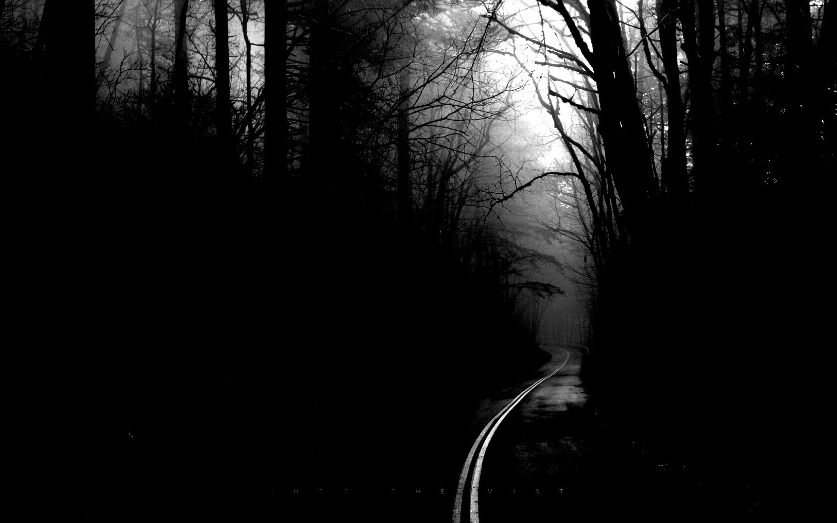 В туман обои