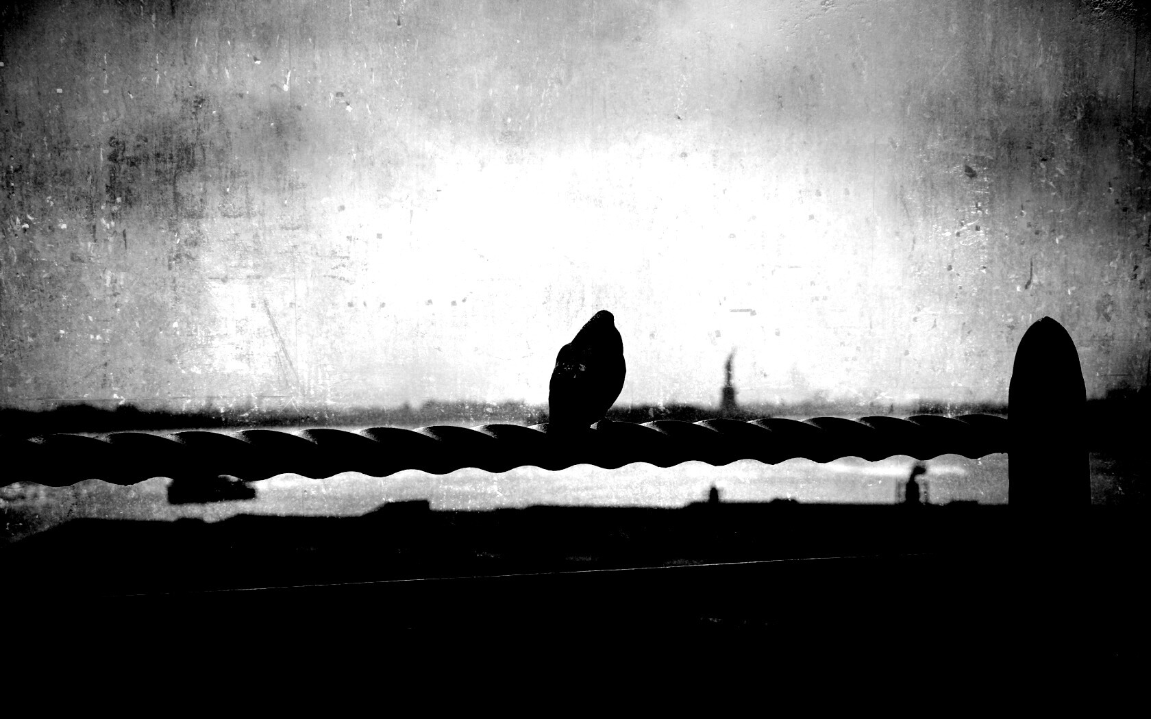 Голубь в Нью-Йоркских доках обои