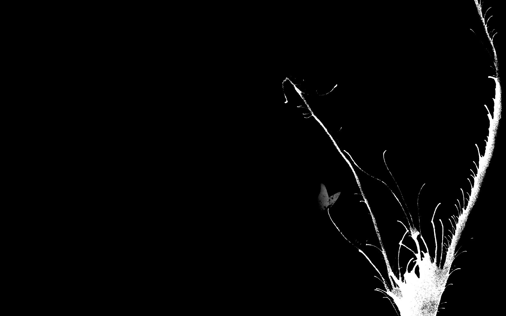 Абстракция из брызг обои