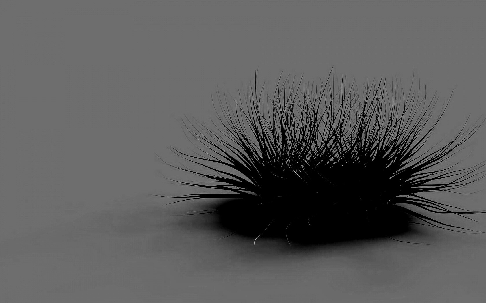 Волосатая мочалка обои