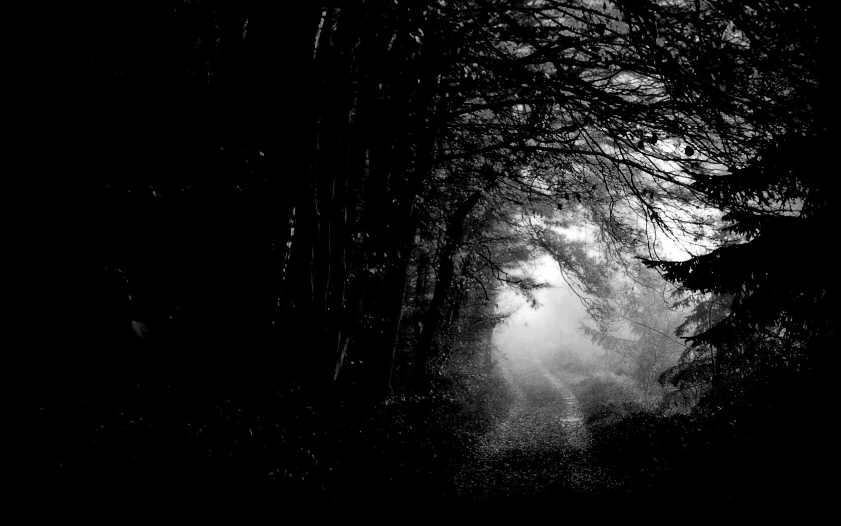 Дорожка заваленная листьями обои