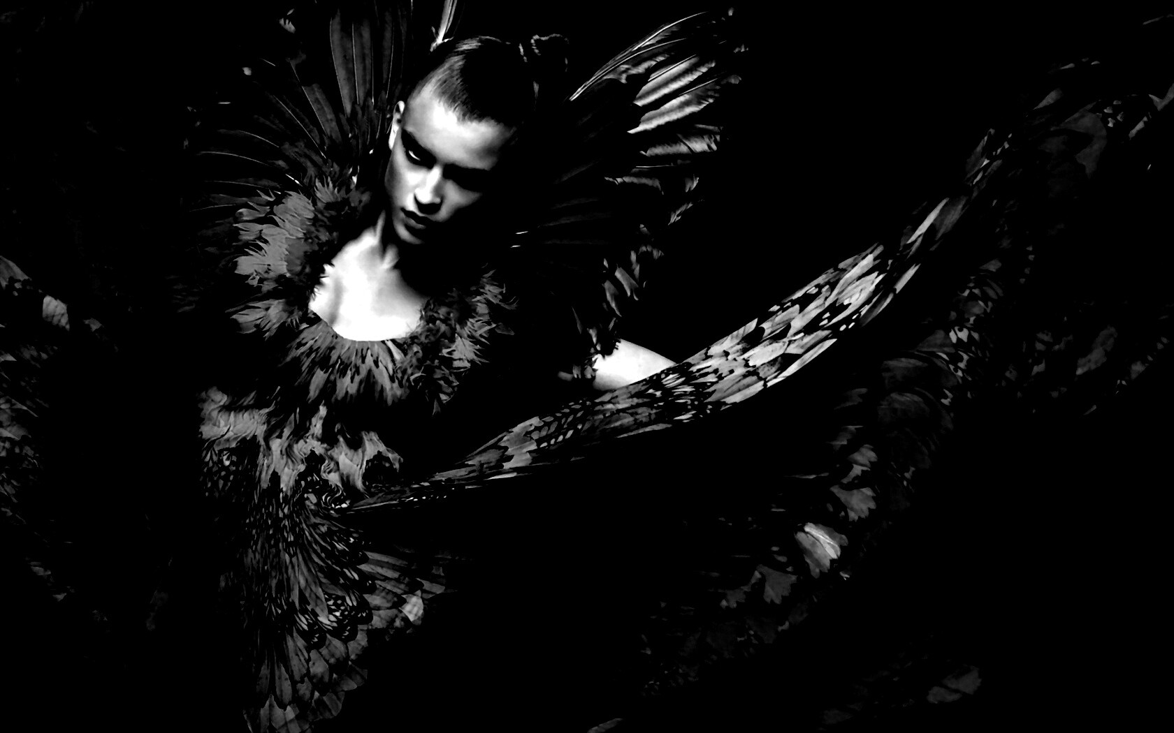 Костюм жар птицы обои