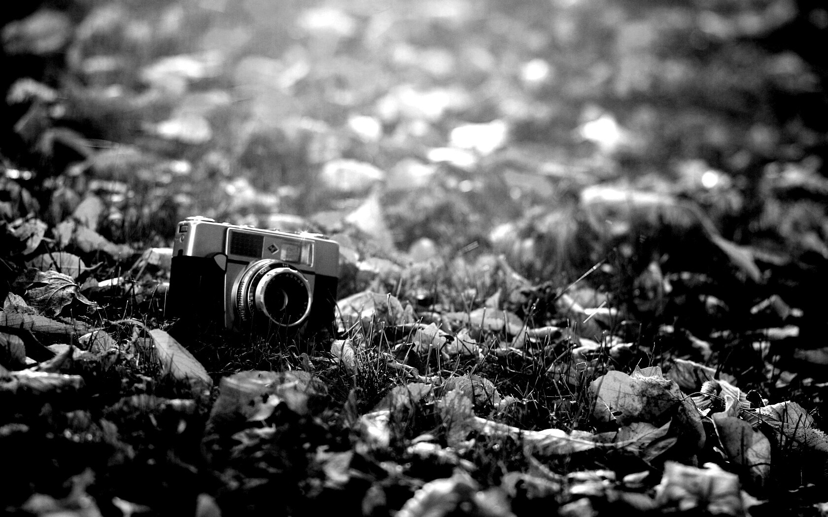 Старый фотоаппарат в траве обои