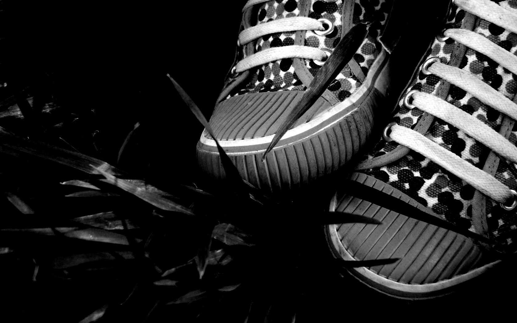 Желтые кеды в горошек обои