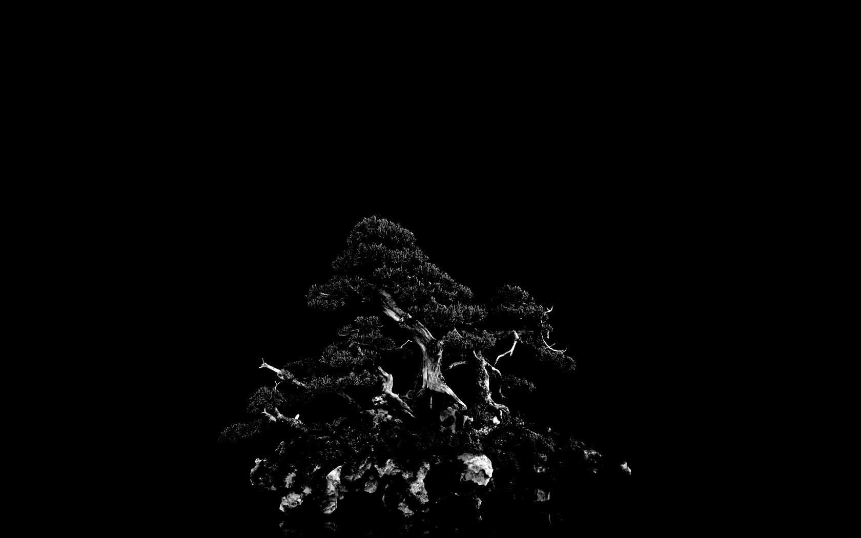 Миниатюрное дерево обои