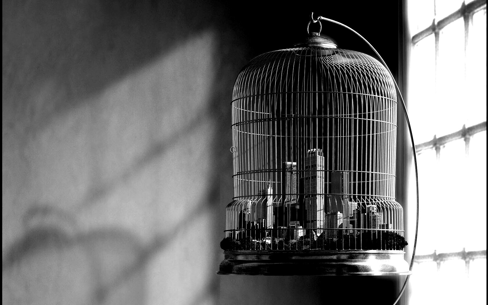 Город в клетке обои