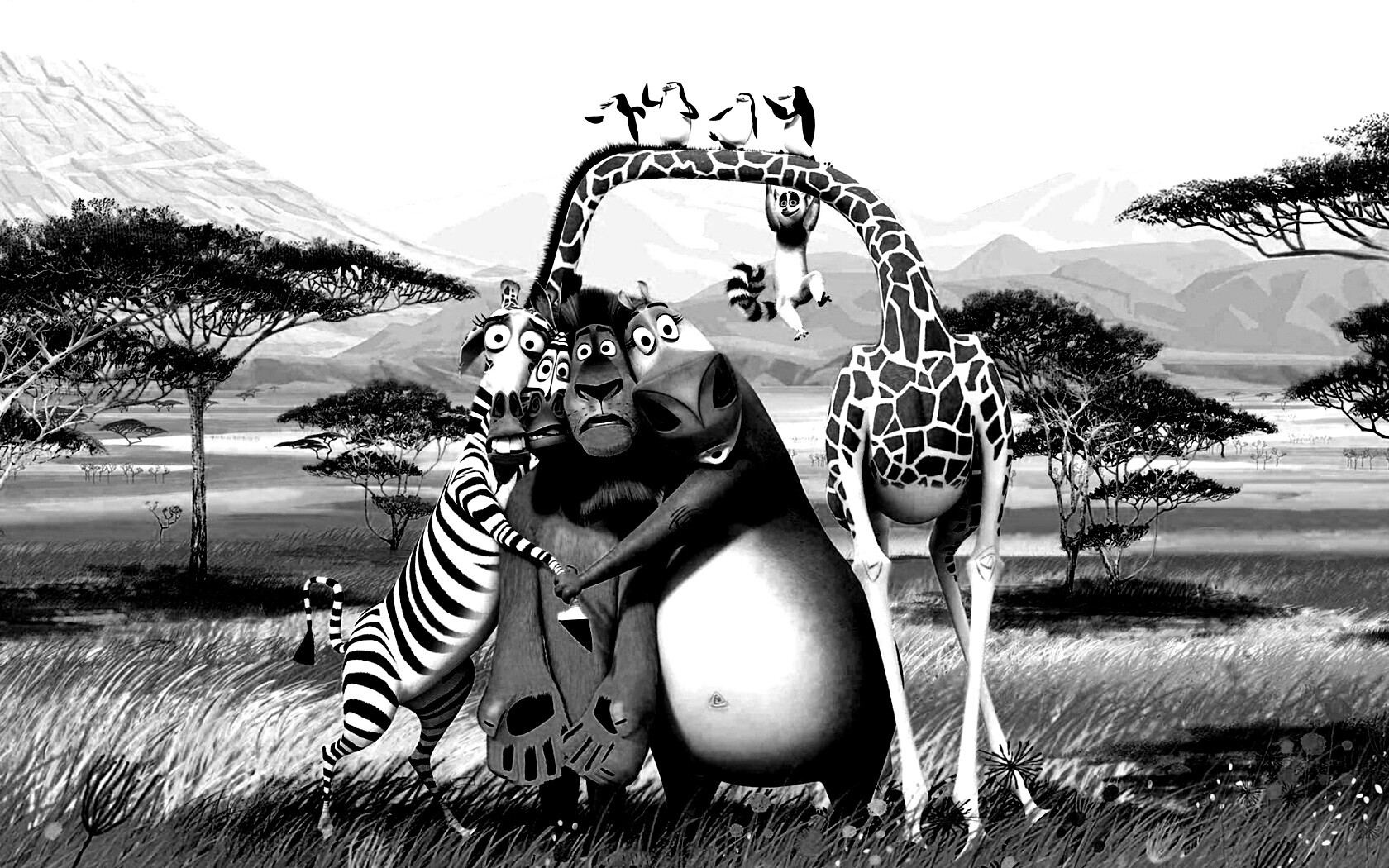 Герои мультфильма Мадагаскар обои