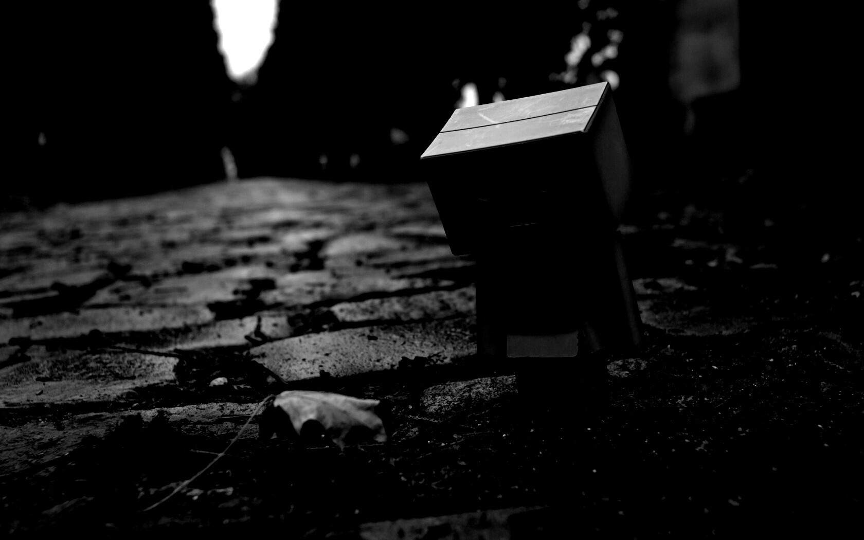 Danbo и первый осенний лист обои