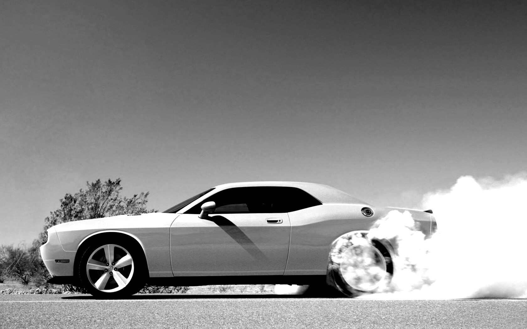 Стартующий Форд Мустанг обои