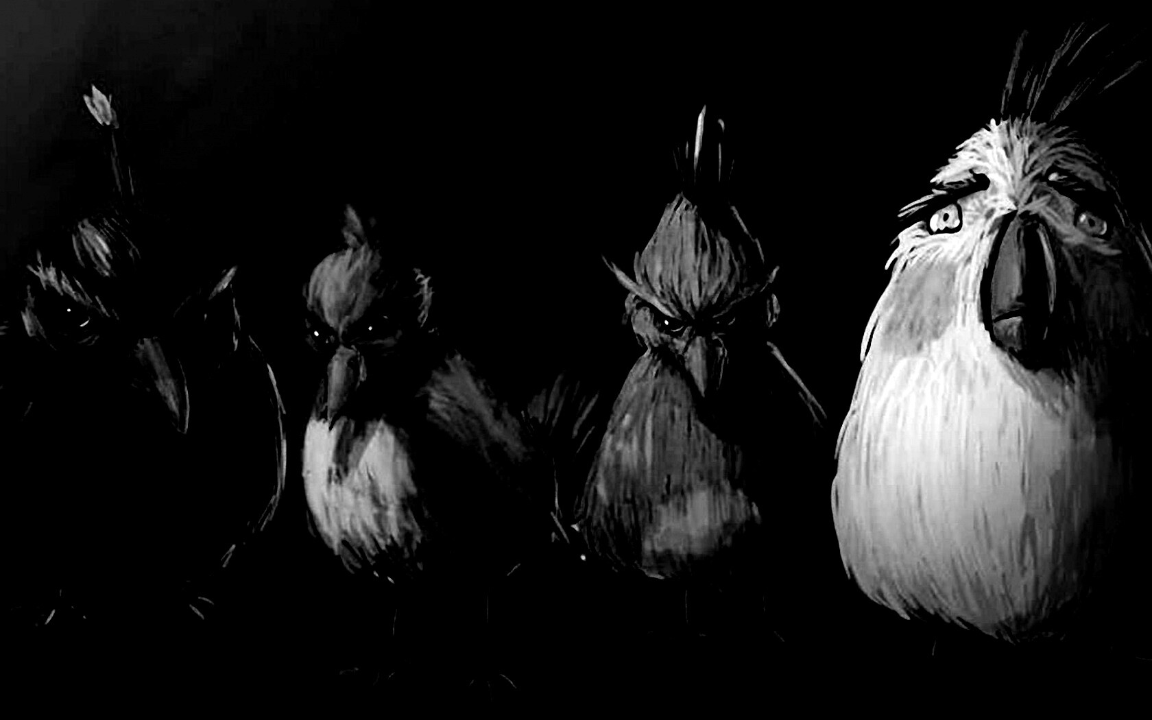 Злые птицы обои