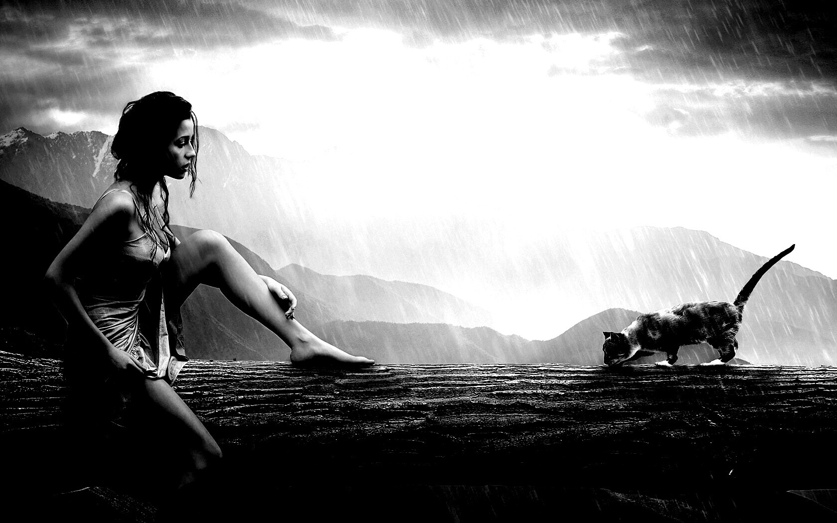 Девушка и кошка обои