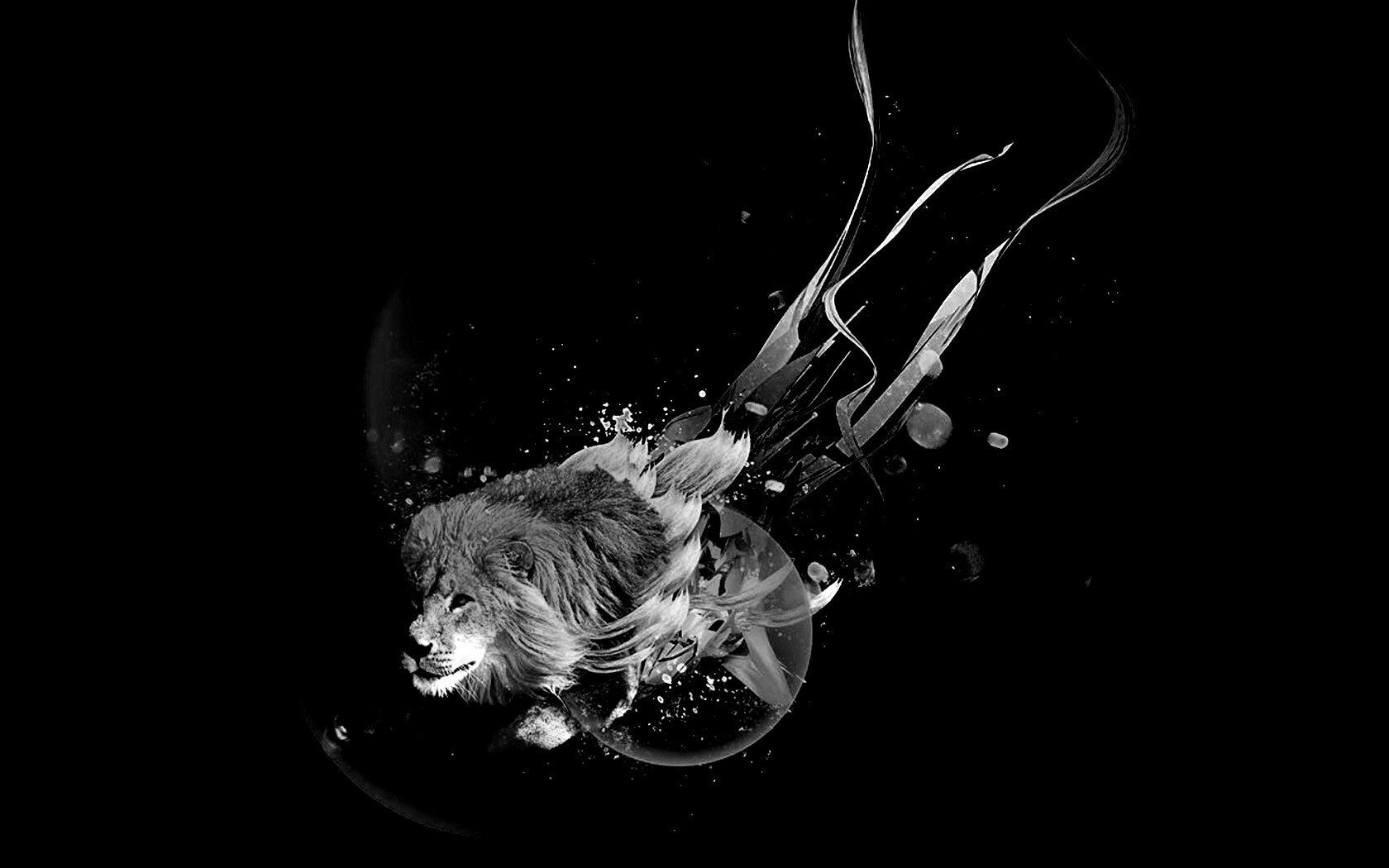 Лев в абстарктой фигне обои