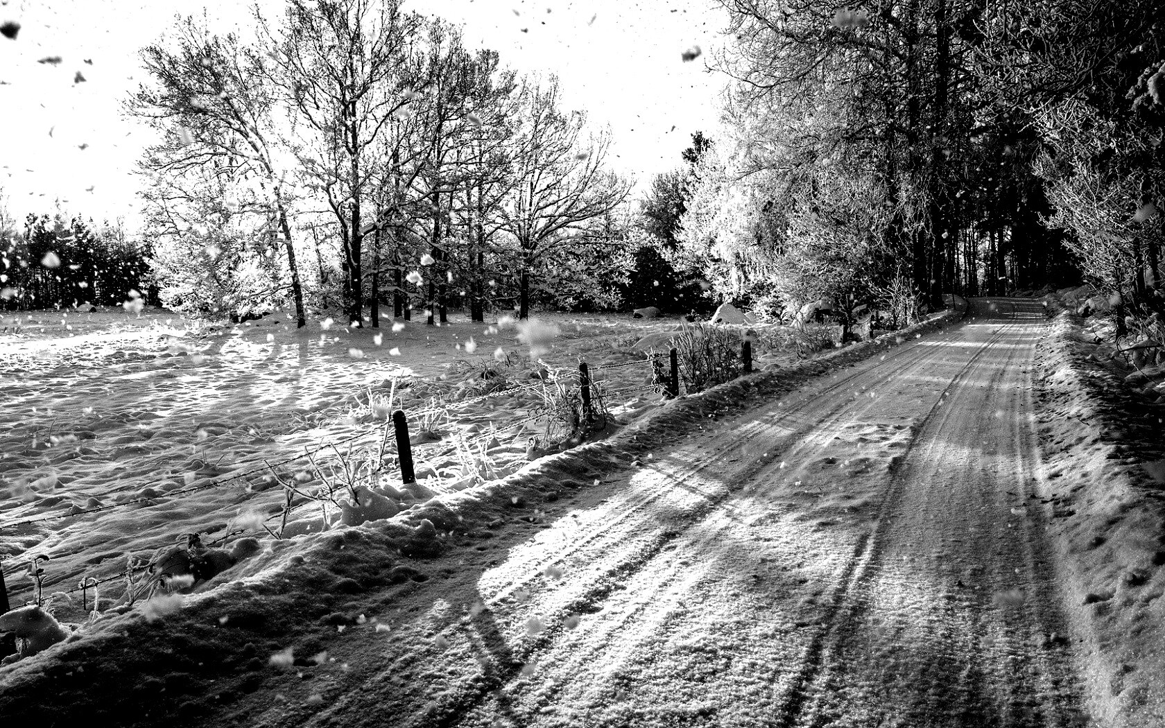 Снежная дорога залитая солнцем обои