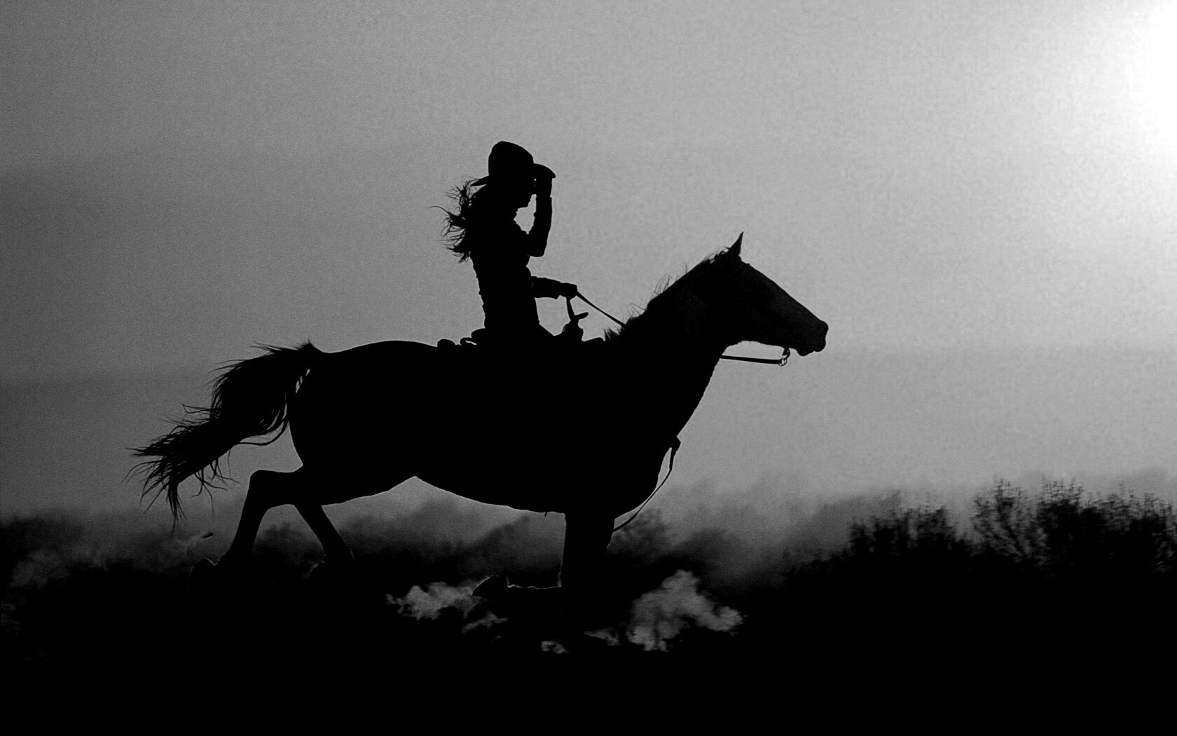 Наездница на закате обои