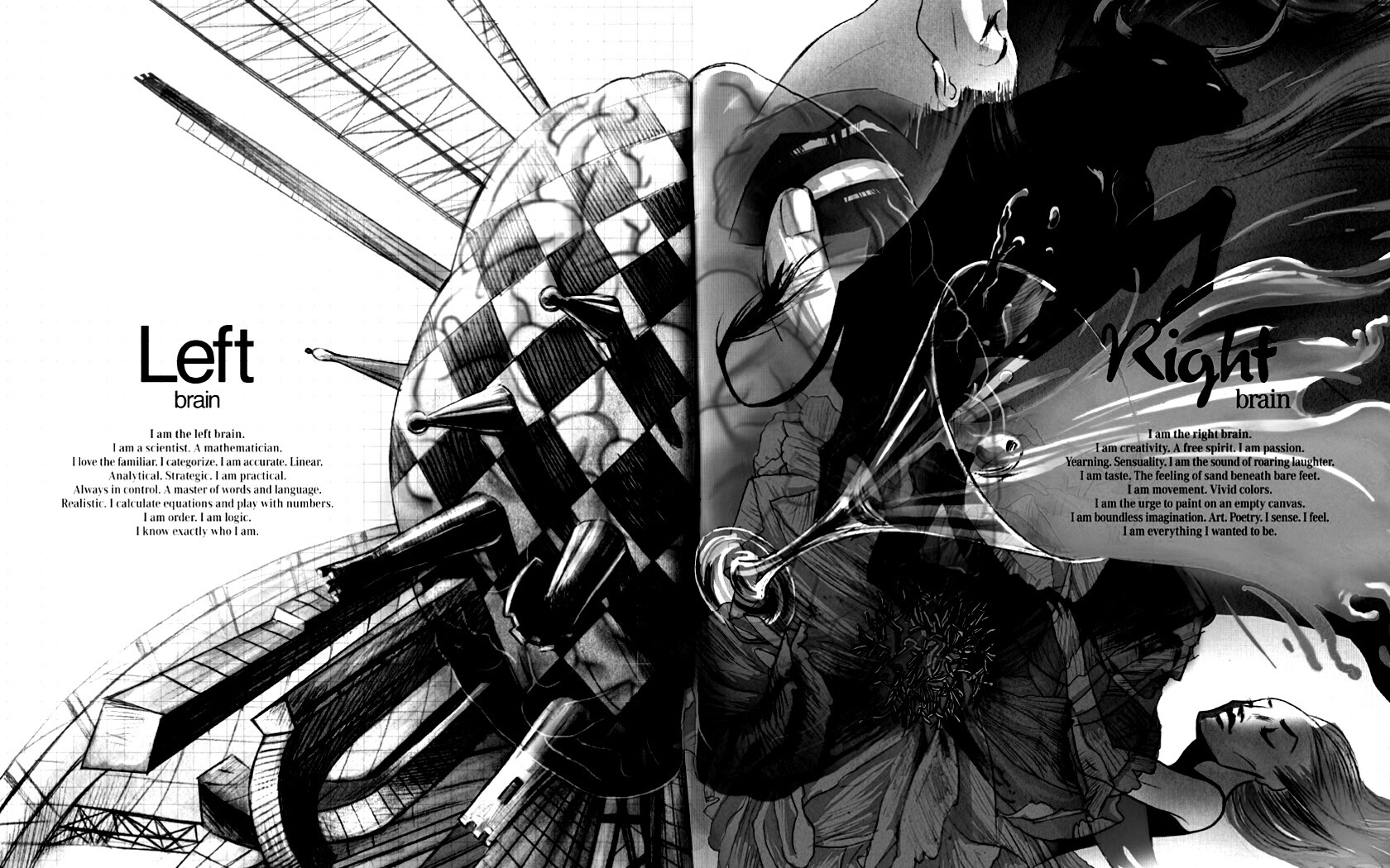 Левая и правая часть мозга обои