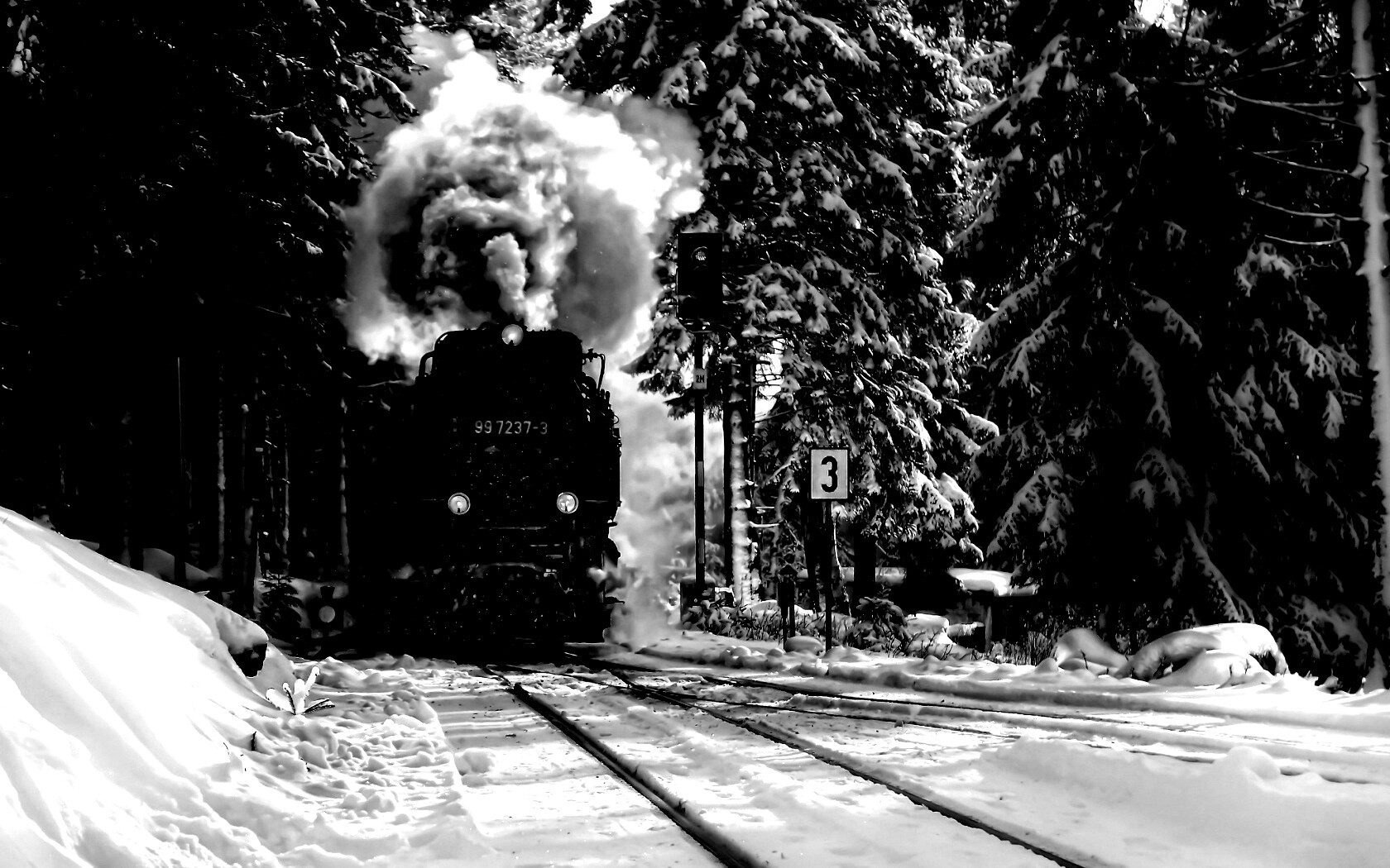 Паровоз в димнем лесу обои