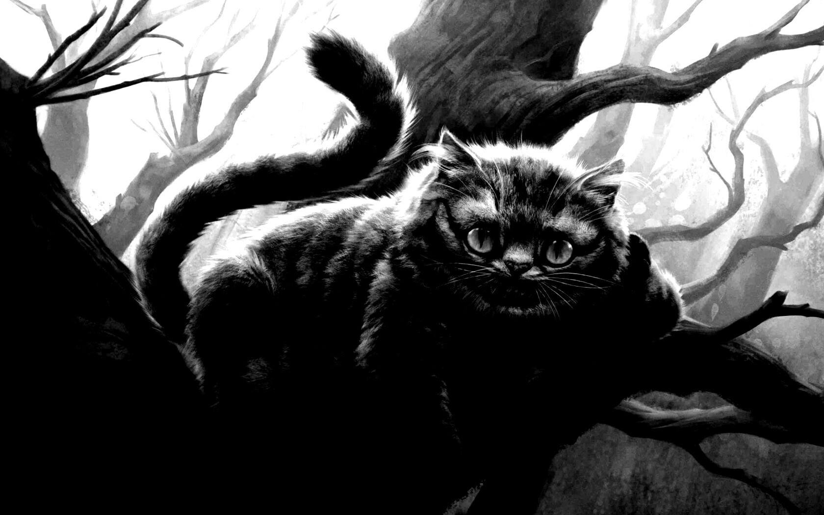 Чеширский кот обои