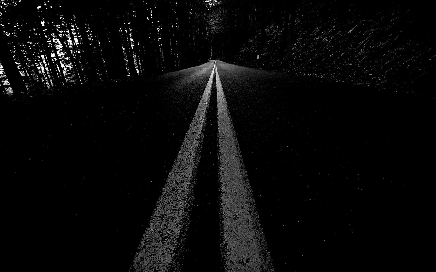 Дорога в лесу обои