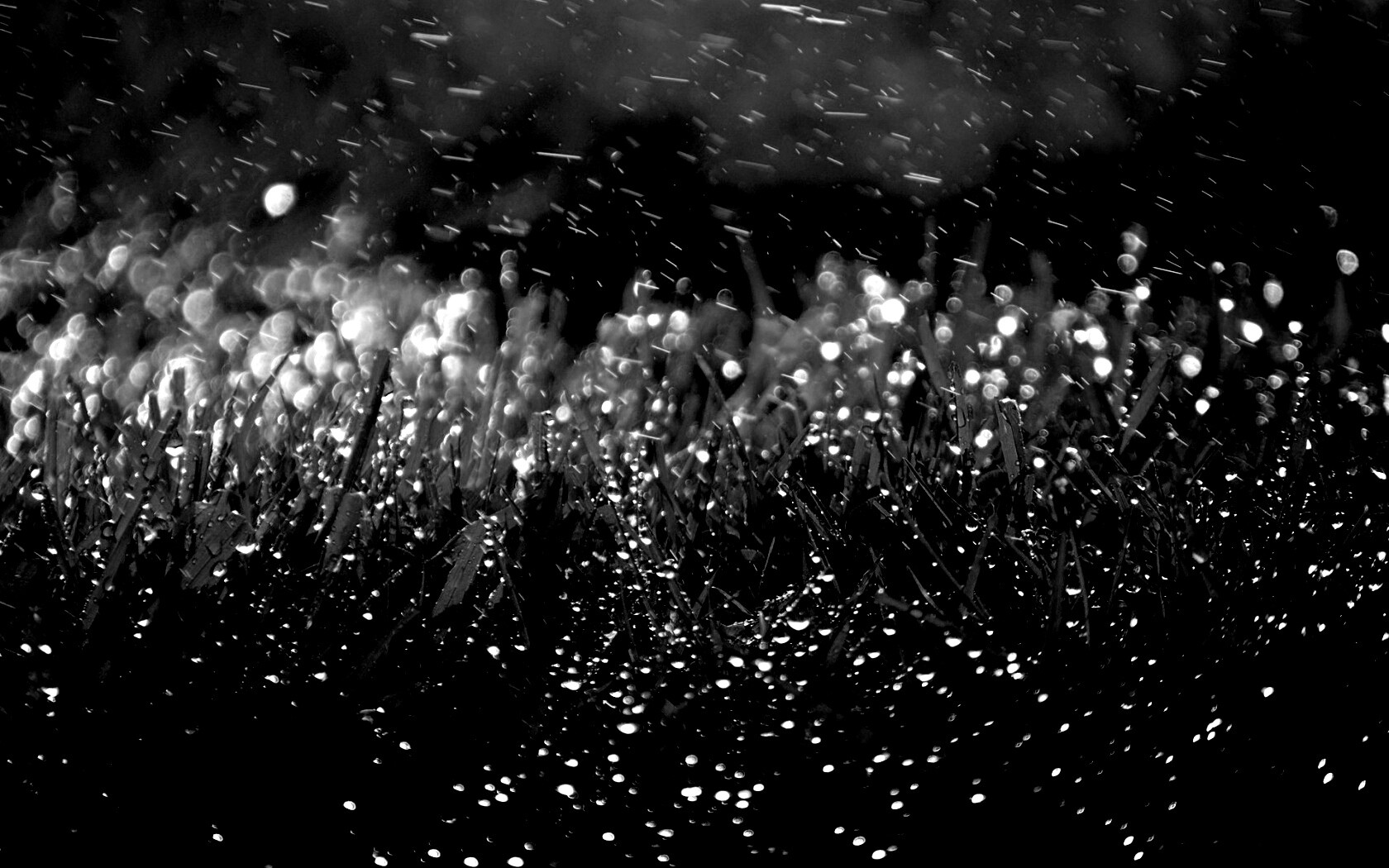 Роса на траве обои