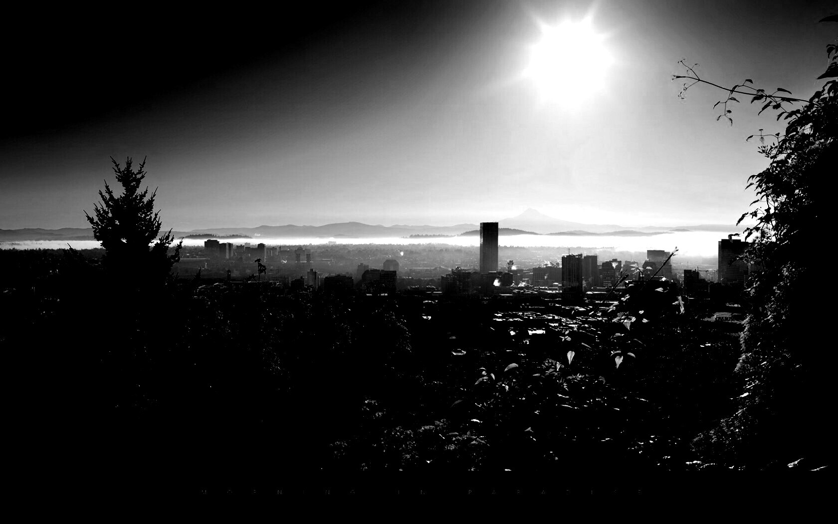 Утро в раю обои