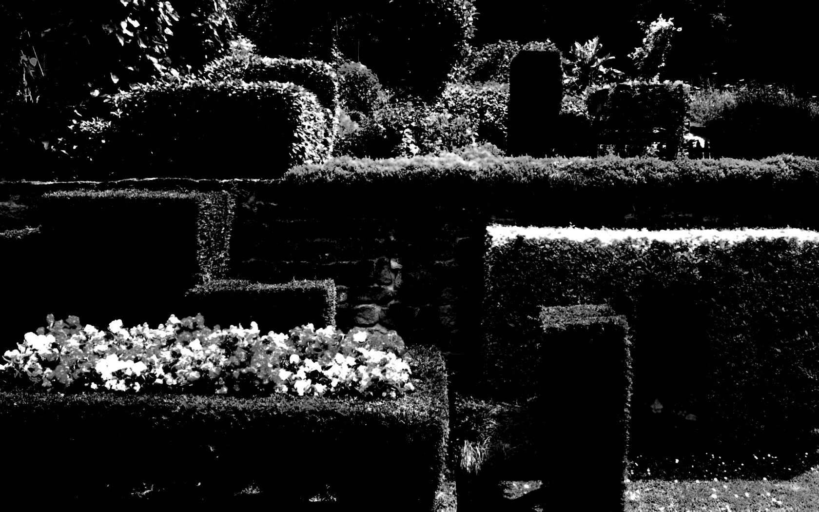 Декоративный сад обои