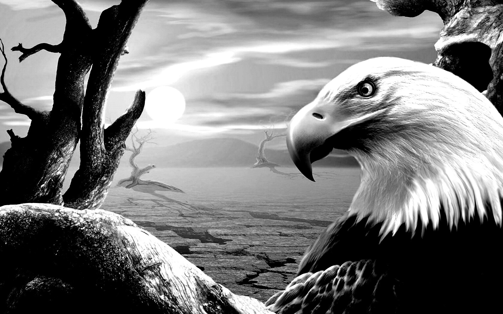 Нарисованный орел обои