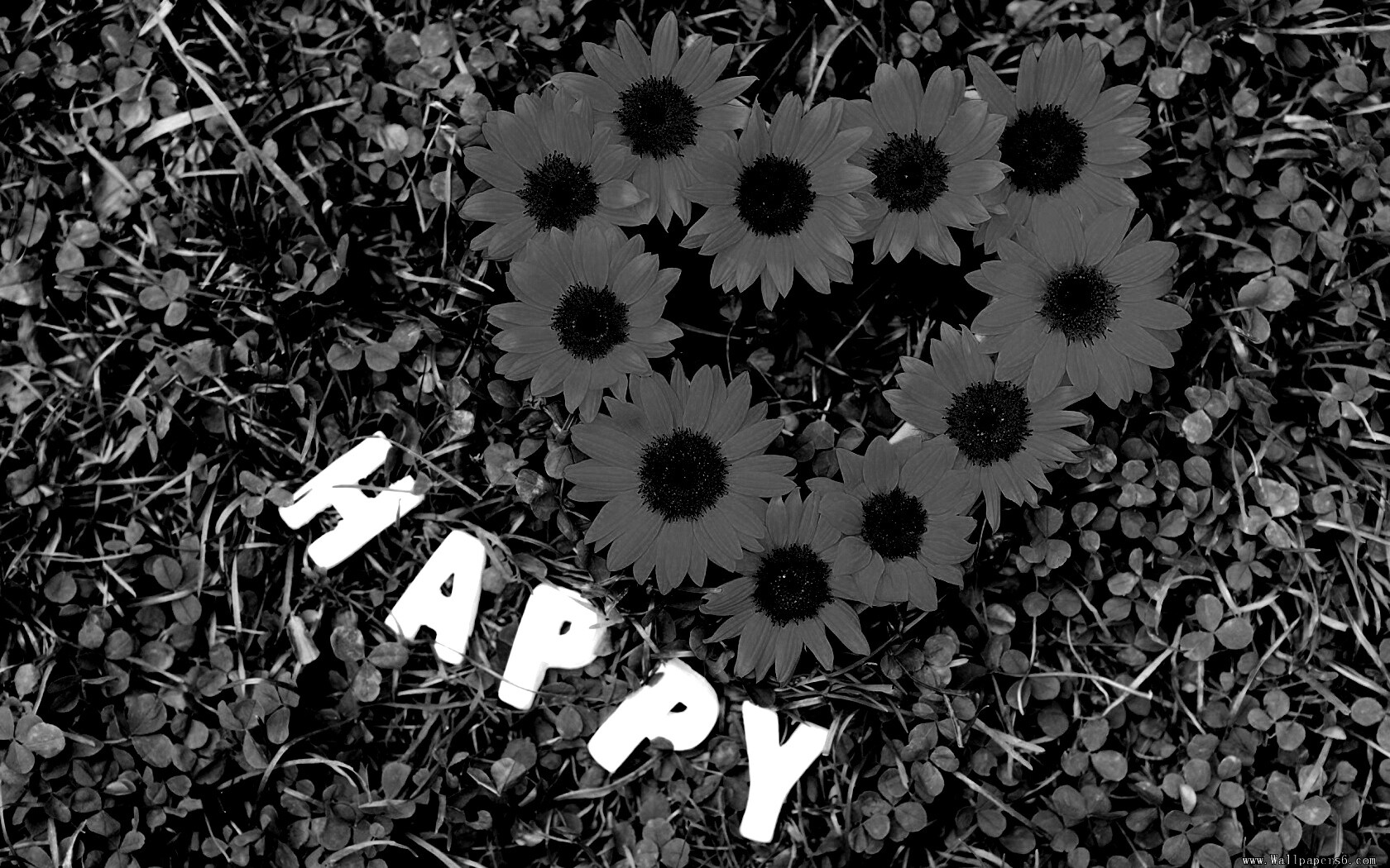 Радость обои