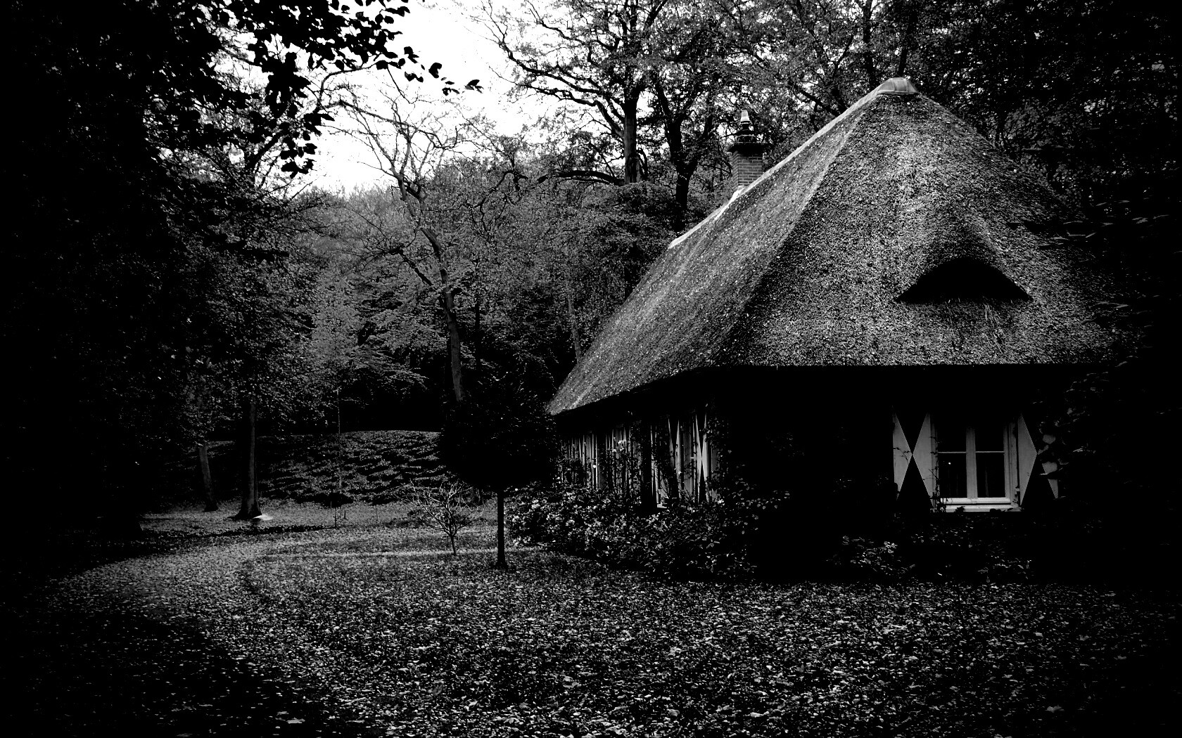 Домик в осеннем лесу обои