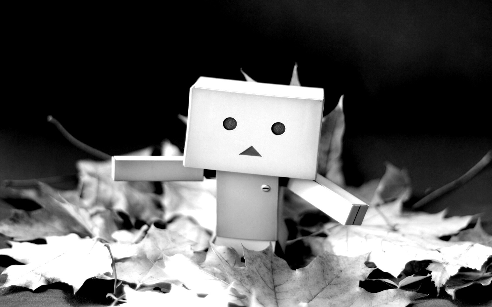  Yotsubato Danbo резвится листьях обои