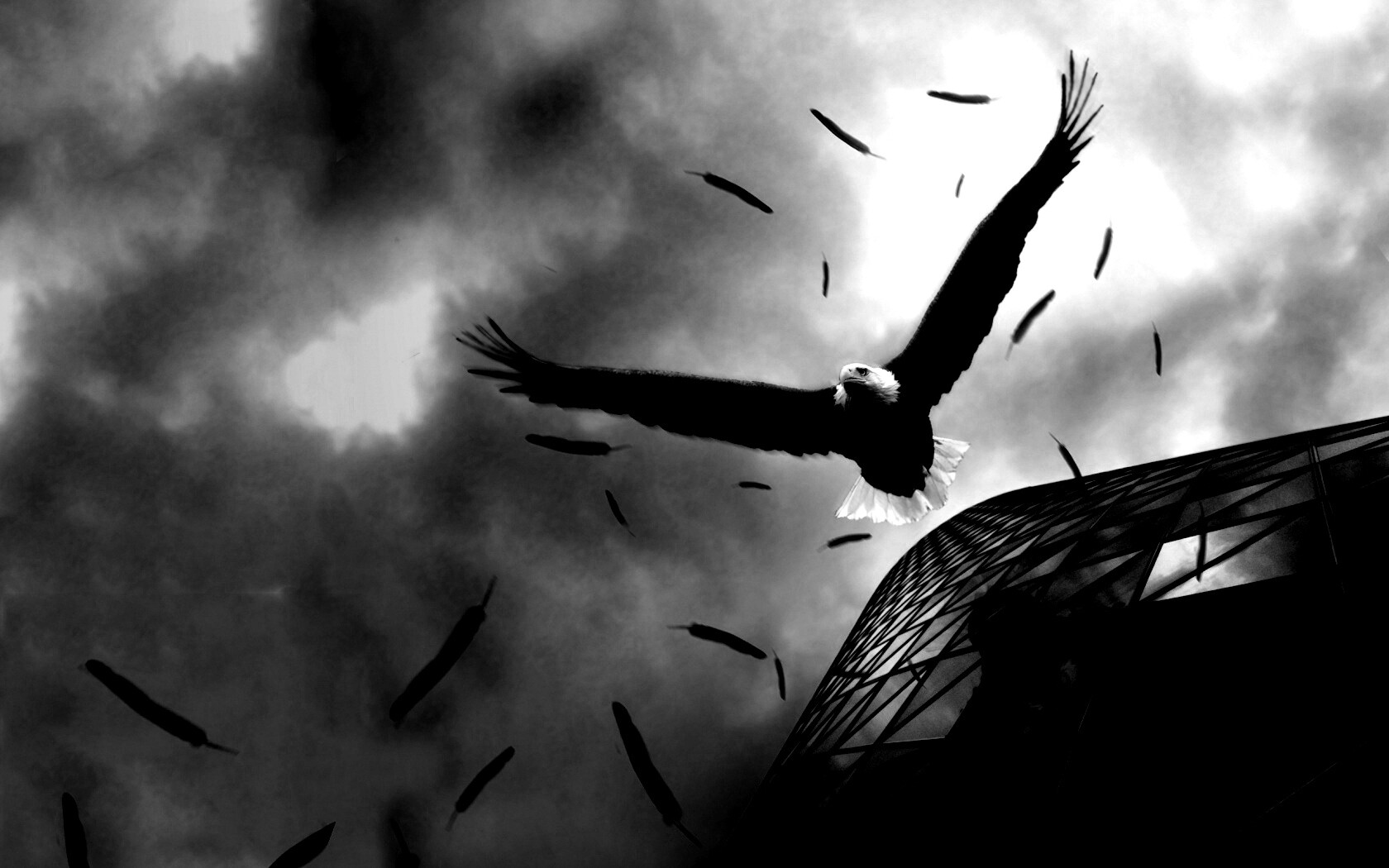 Орлиный полет обои