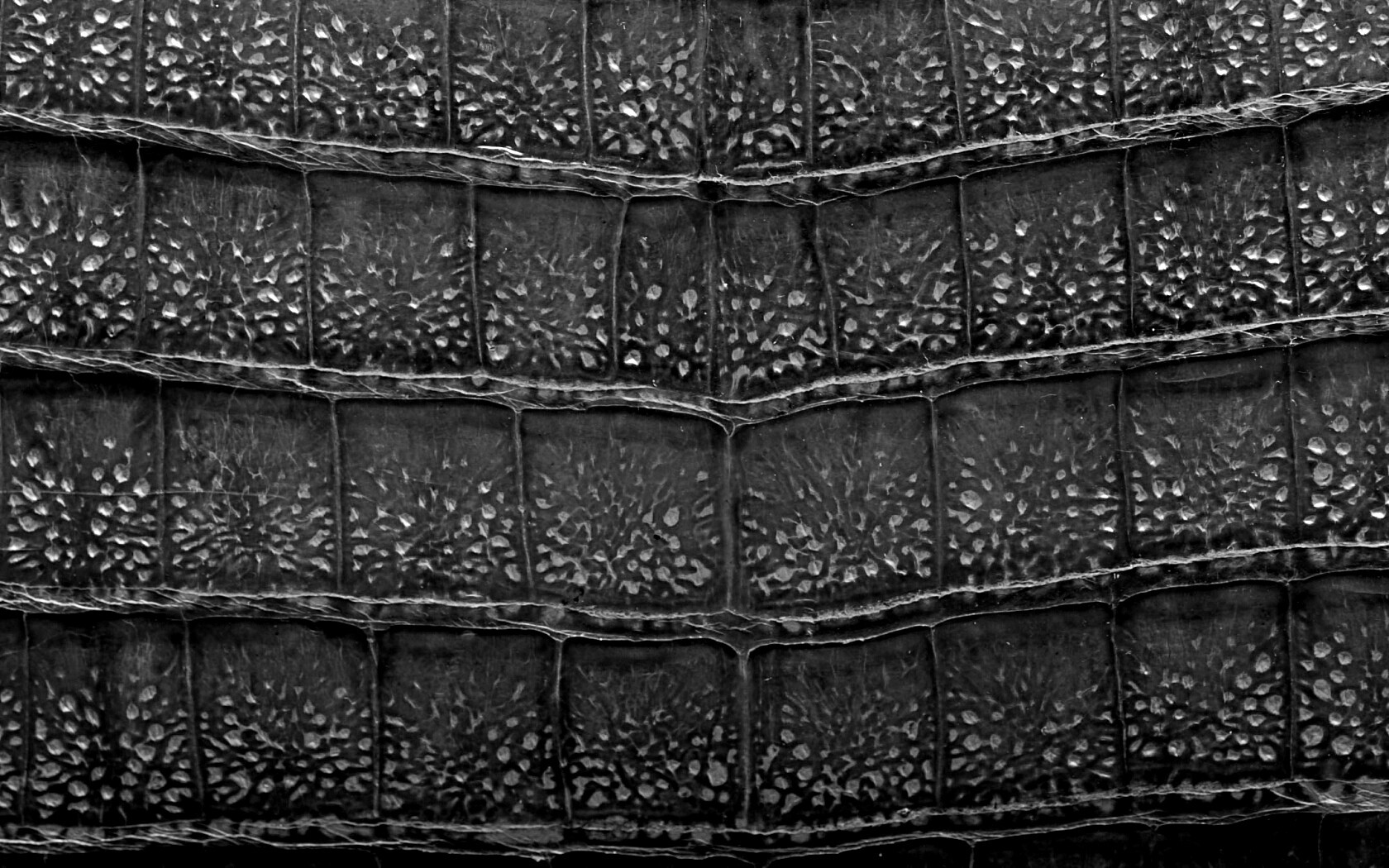 Текстура крокодильей кожи обои