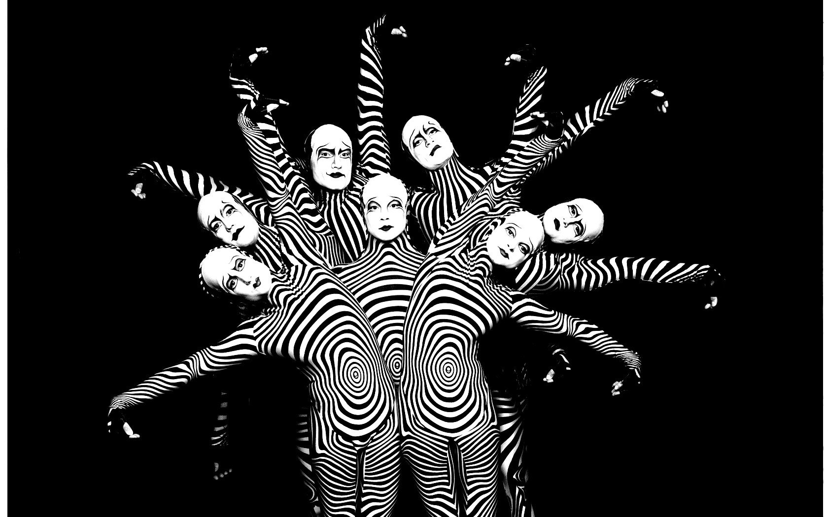 Зеброиды (актеры цирка дю солей) обои