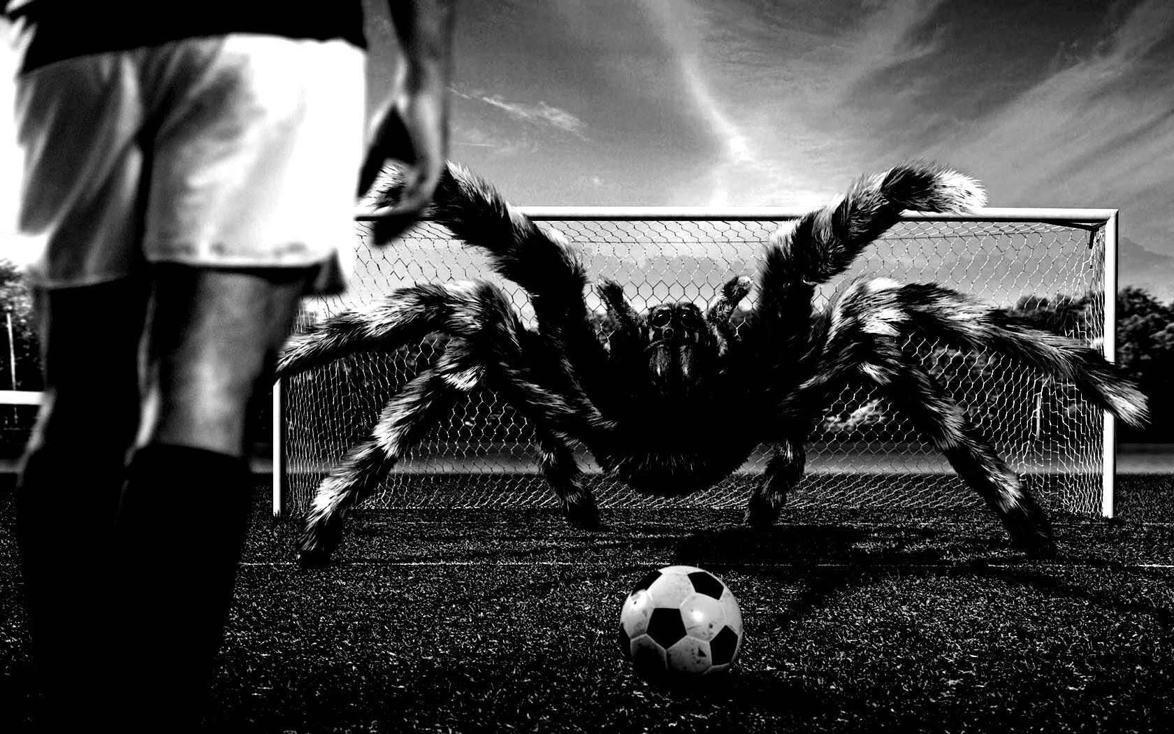 Вратарь обои