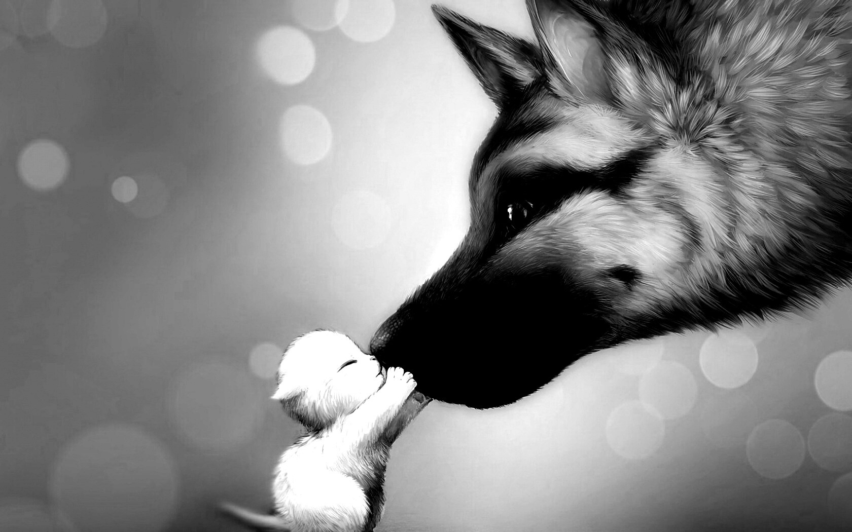 Овчарка и котенок обои