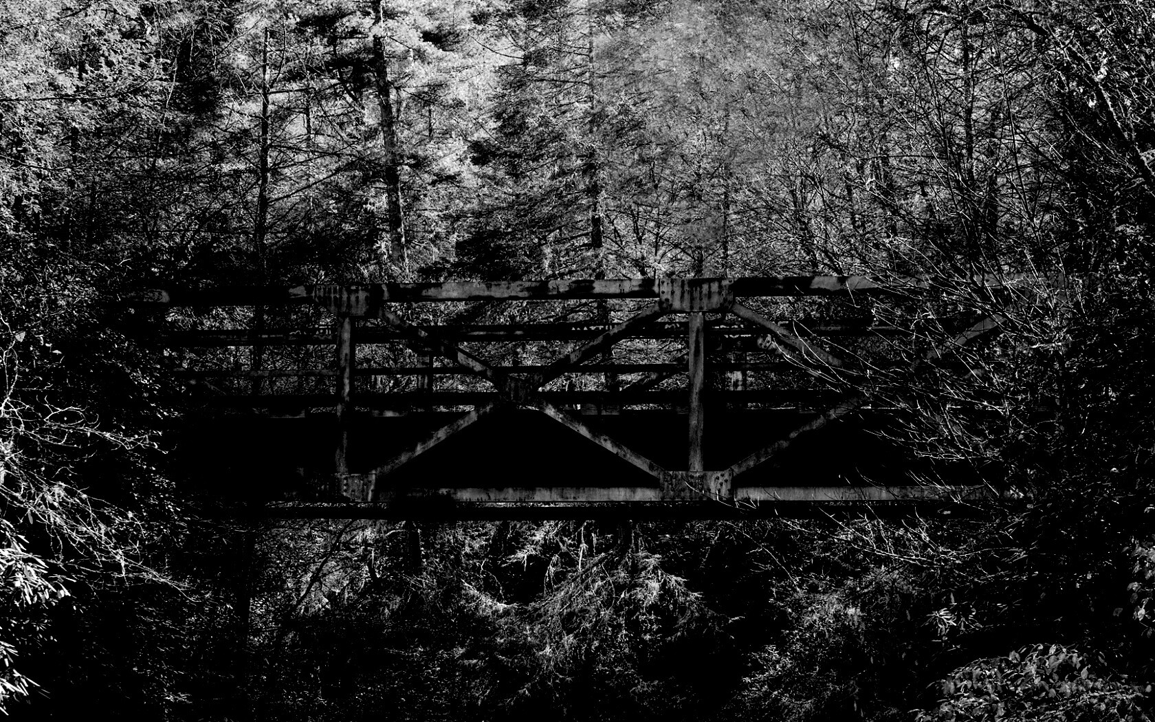 Металлический мост в лесной глуши обои