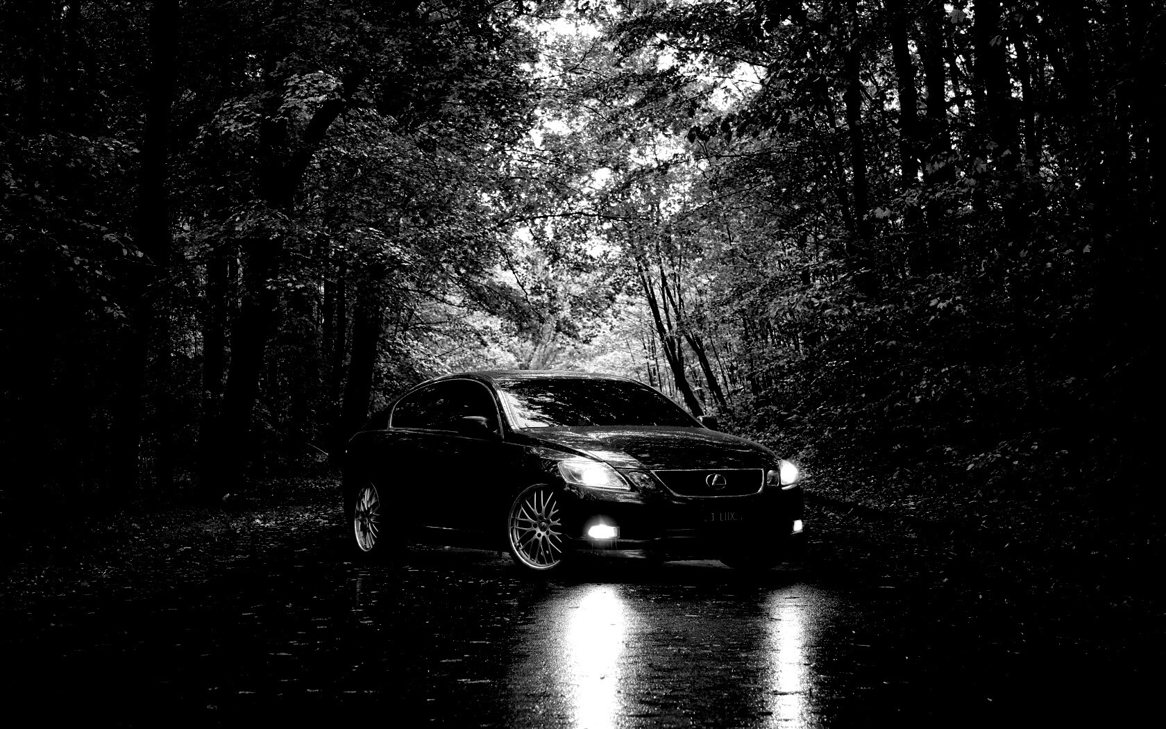 Лексус на лесной дороге обои