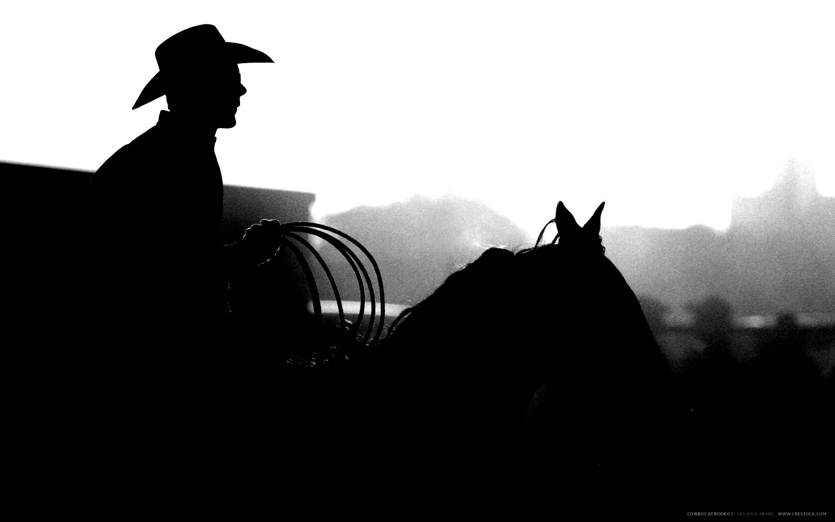 Ковбой с лассо на коне обои