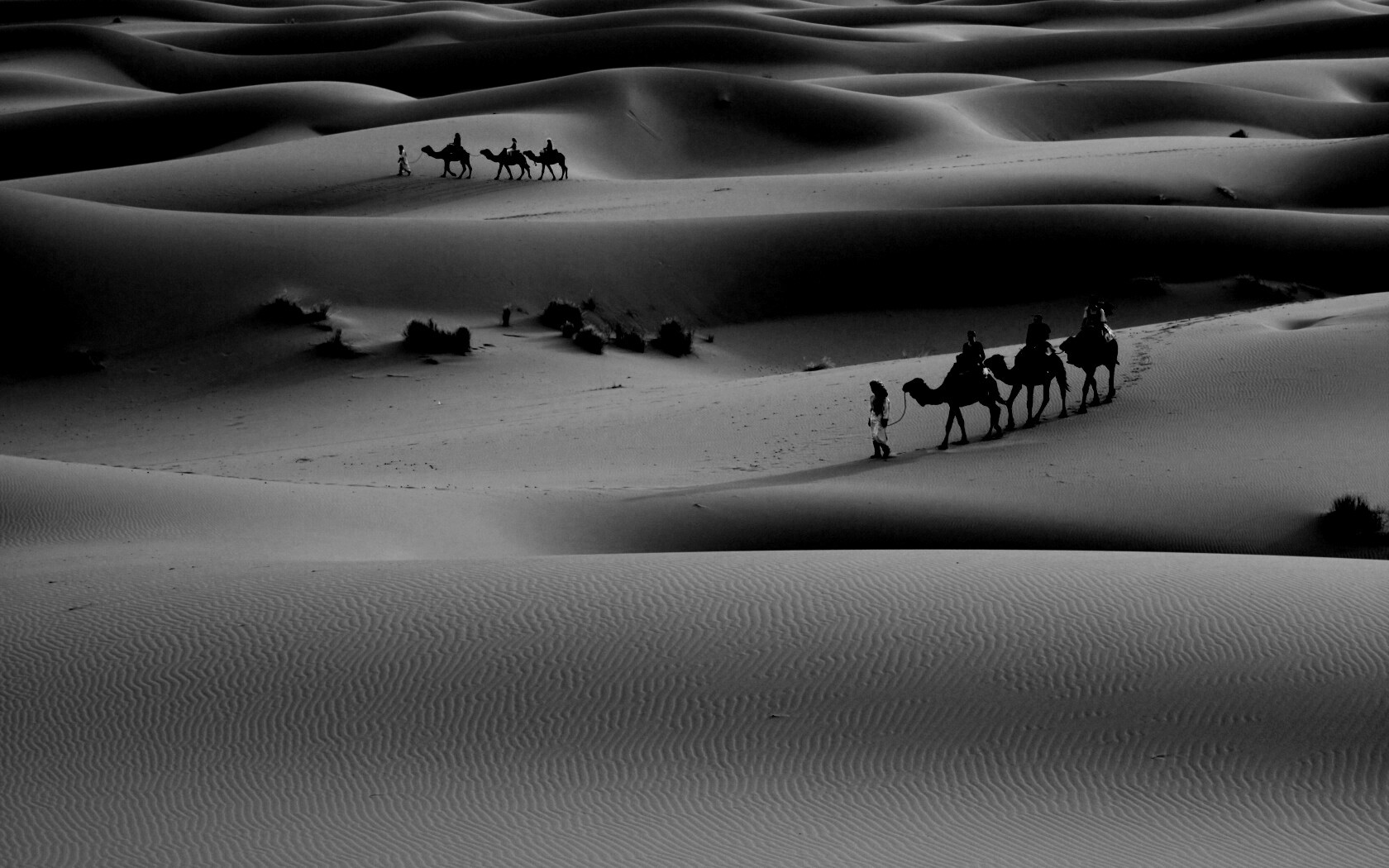 Караваны пустыни обои