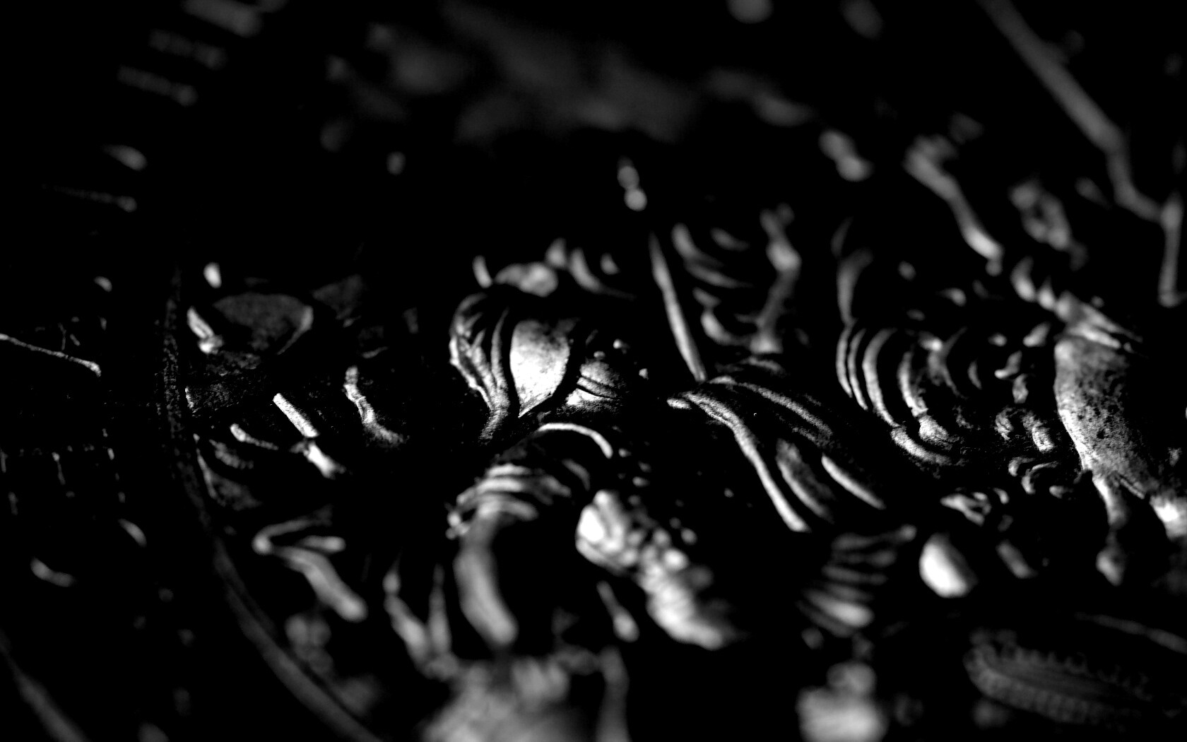 Монета в макро обои